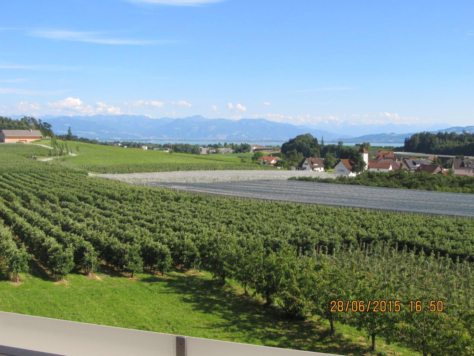 Landhaus Erben Wasserburg Exteriör bild